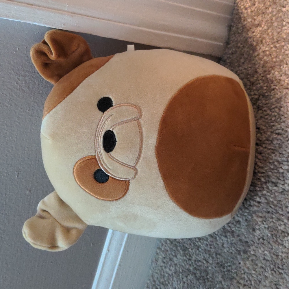 NWOT Squishmallow Griz the Bulldog